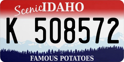 ID license plate K508572