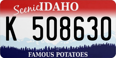ID license plate K508630