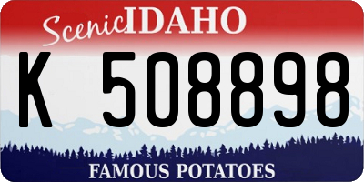 ID license plate K508898