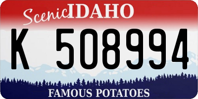 ID license plate K508994