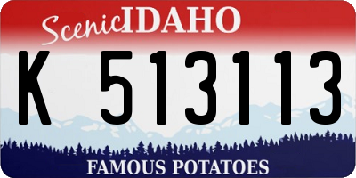 ID license plate K513113