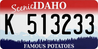 ID license plate K513233