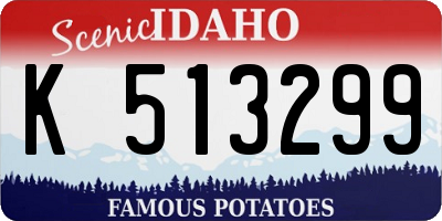 ID license plate K513299