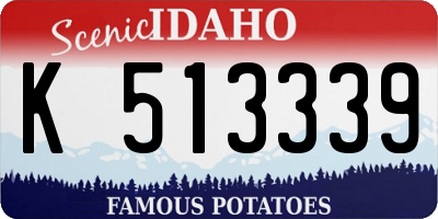 ID license plate K513339