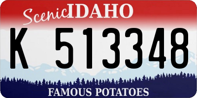 ID license plate K513348