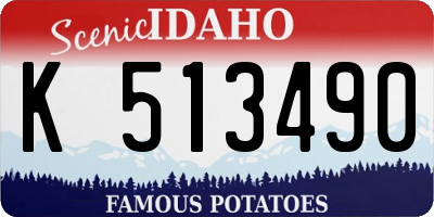 ID license plate K513490