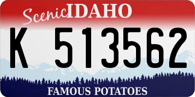ID license plate K513562