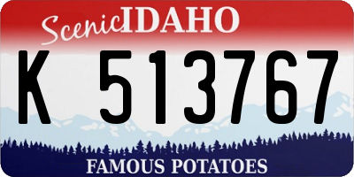 ID license plate K513767
