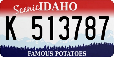 ID license plate K513787