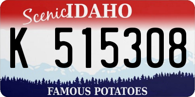ID license plate K515308