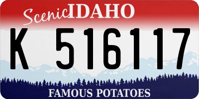 ID license plate K516117
