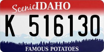 ID license plate K516130