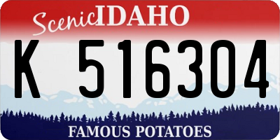 ID license plate K516304