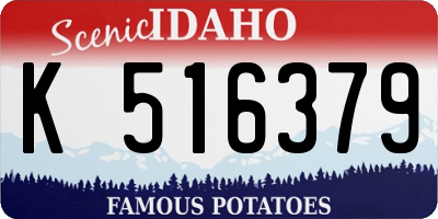 ID license plate K516379