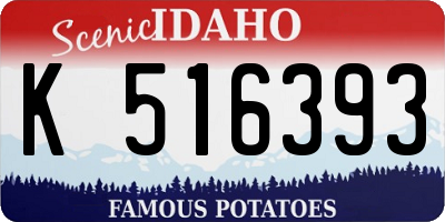 ID license plate K516393