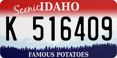ID license plate K516409
