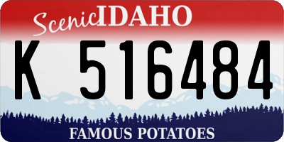 ID license plate K516484