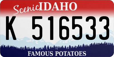 ID license plate K516533