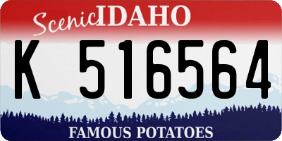 ID license plate K516564