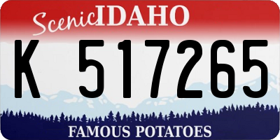 ID license plate K517265