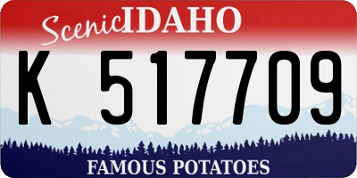 ID license plate K517709