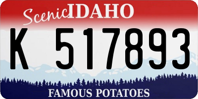 ID license plate K517893
