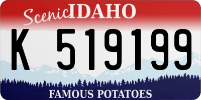ID license plate K519199