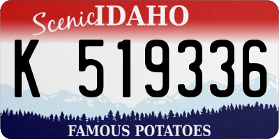 ID license plate K519336