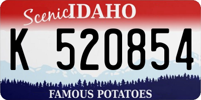 ID license plate K520854