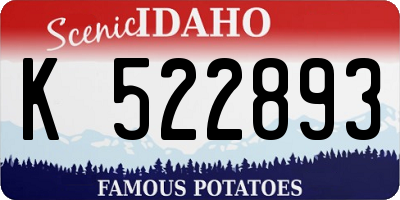 ID license plate K522893