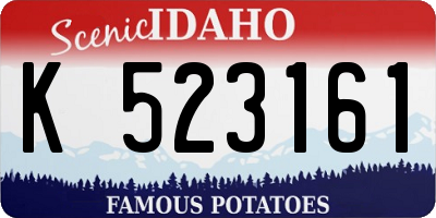 ID license plate K523161