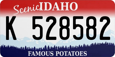 ID license plate K528582