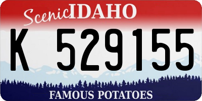 ID license plate K529155
