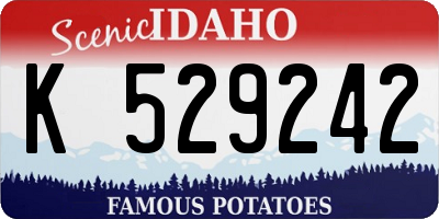 ID license plate K529242