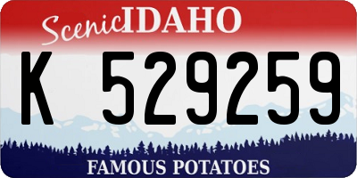 ID license plate K529259
