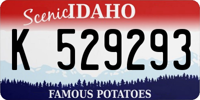 ID license plate K529293