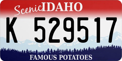 ID license plate K529517