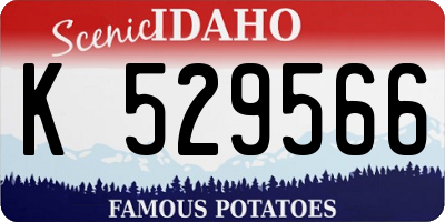 ID license plate K529566