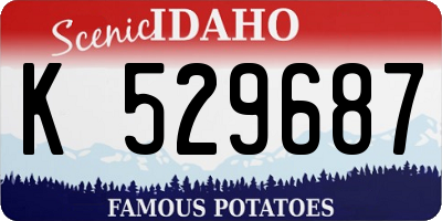 ID license plate K529687