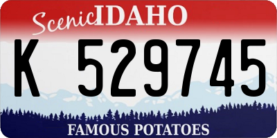ID license plate K529745