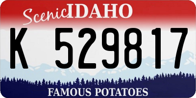 ID license plate K529817