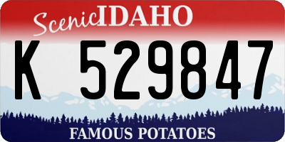 ID license plate K529847