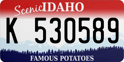 ID license plate K530589