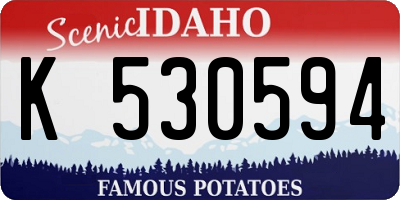 ID license plate K530594