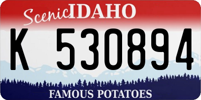 ID license plate K530894