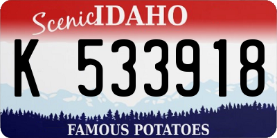 ID license plate K533918