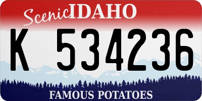 ID license plate K534236