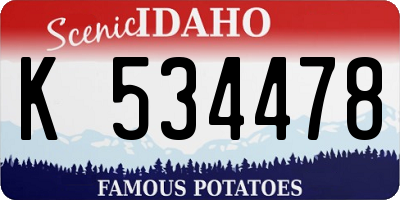 ID license plate K534478