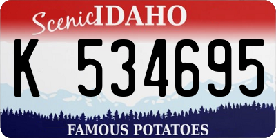 ID license plate K534695