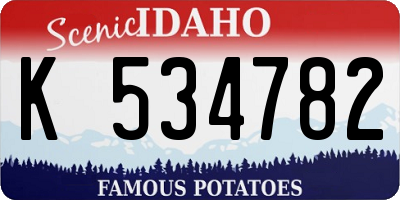 ID license plate K534782